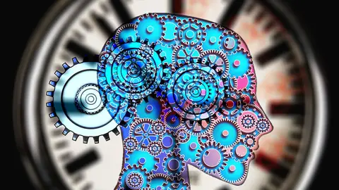 La teoría de los cuatro humores La teoría de los cuatro humores