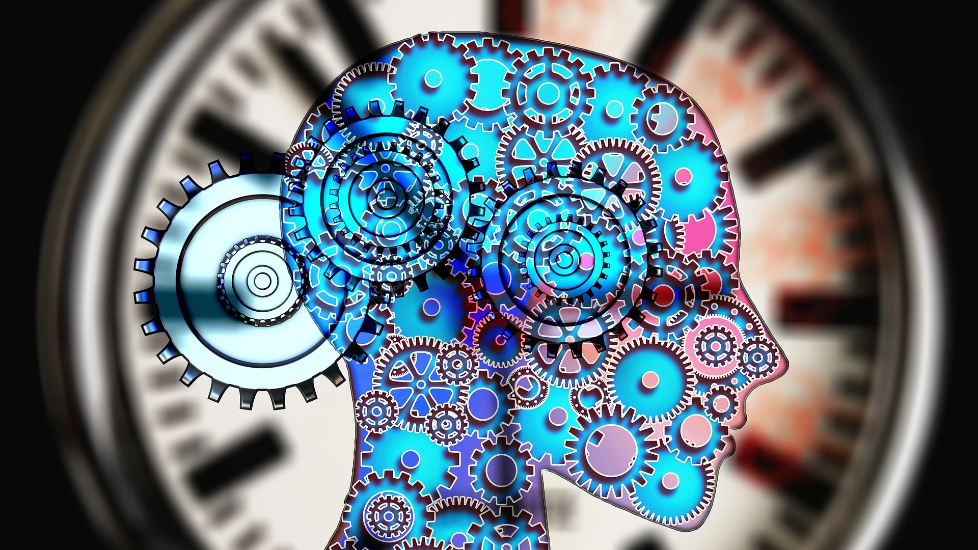 La teoría de los cuatro humores