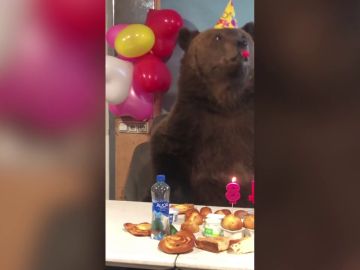 Celebran el cumpleaños de un oso amaestrado y termina sembrando el caos