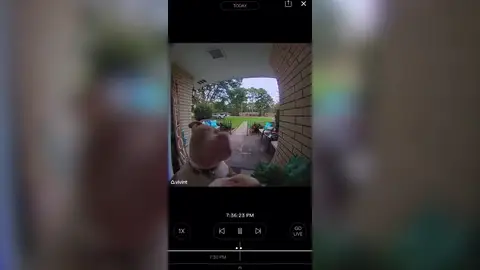 Este ingenioso perro llama al timbre para que le dejen entrar en casa Este ingenioso perro llama al timbre para que le dejen entrar en casa