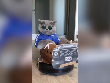 Este gato ha hecho del robot aspirador de su familia su coche particular