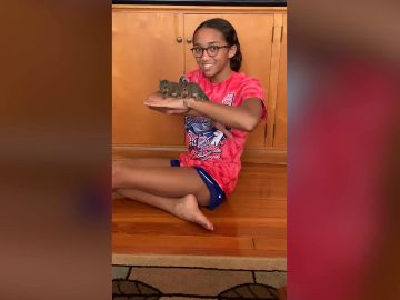 Una adolescente rescata a una familia de ardillas después de que el huracán Ida destruyera su nido