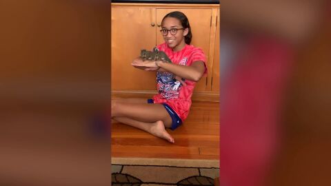 Una adolescente rescata a una familia de ardillas después de que el huracán Ida destruyera su nido