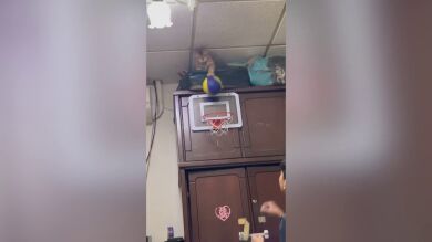  Las sorprendentes habilidades de este gato para encestar