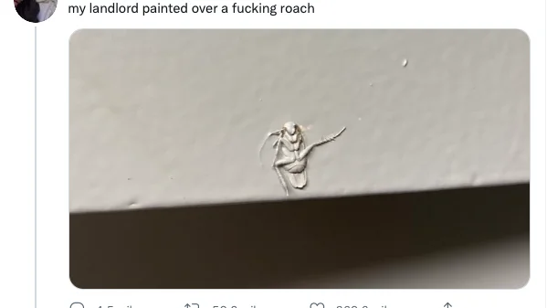Cucaracha emparedada 