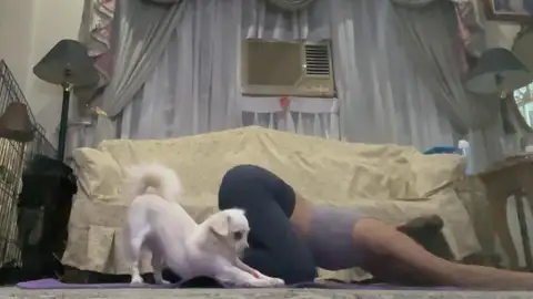 Adorable perrito imitando a su dueña Adorable perrito imitando a su dueña