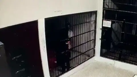 Escapa de prisión Escapa de prisión