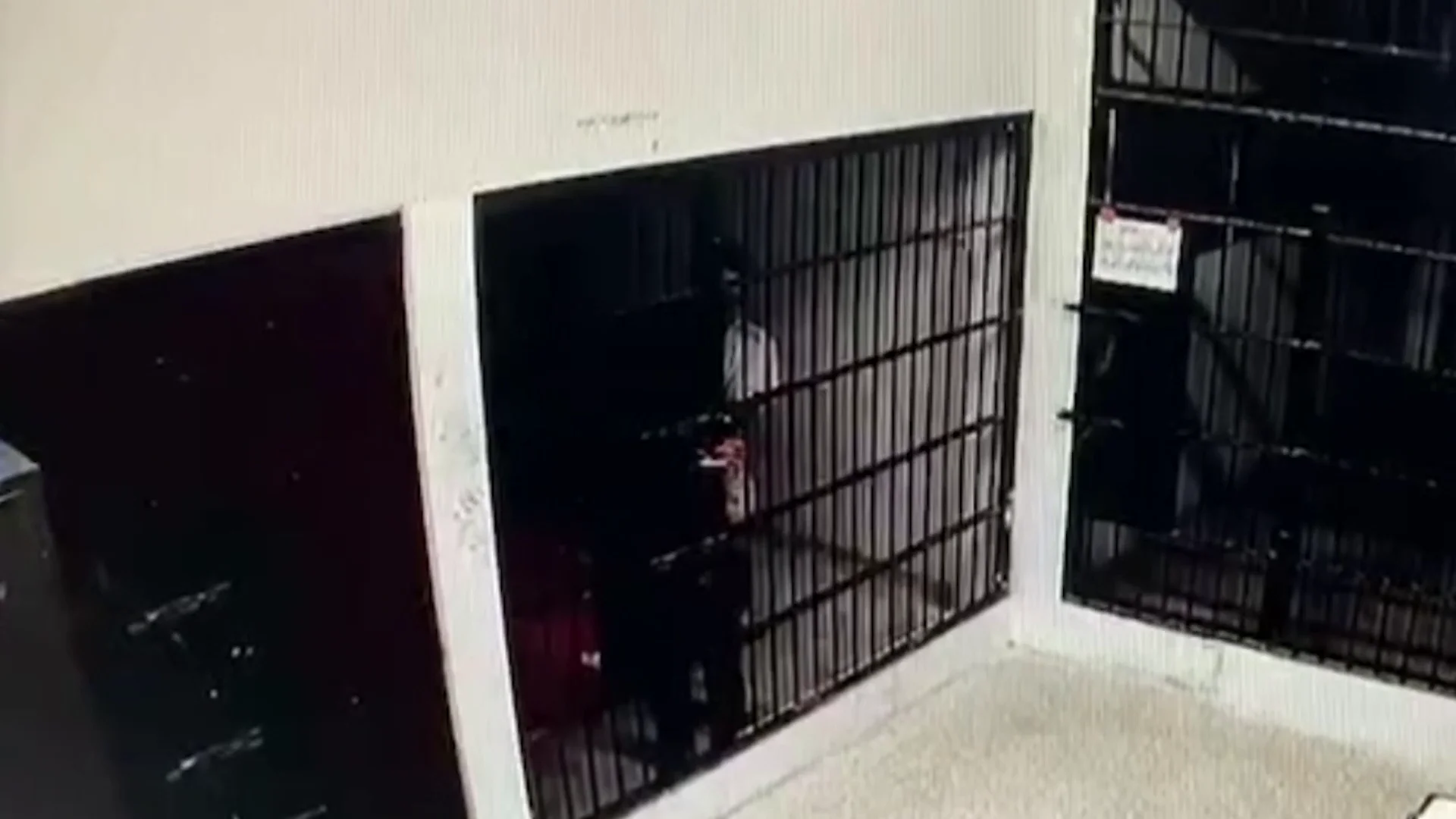 Escapa de prisión Escapa de prisión