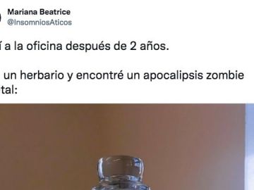 Tuit de @insomniosaticos