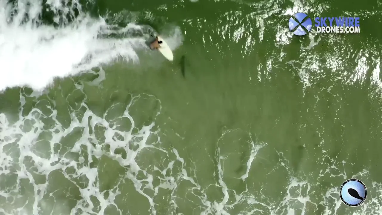 Un dron graba a un tibur&oacute;n nadando junto a un surfista desprevenido