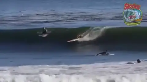 Skyler, el perro surfero, monta una gigantesca ola en California Skyler, el perro surfero, monta una gigantesca ola en California