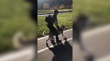 VÍDEO: Una mujer patina empujada por su perro husky y es increíble