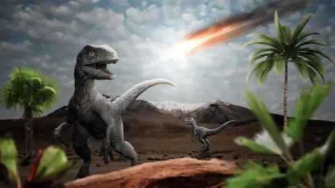 Dinosaurios (archivo) Dinosaurios (archivo)
