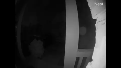 Un inquietante orbe de luz flota frente a la cámara de una familia después de que un ruido los despertara Un inquietante orbe de luz flota frente a la cámara de una familia después de que un ruido los despertara
