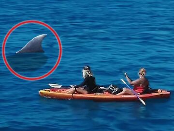 Una ballena gigantesca salta de la nada sorprendiendo a una chica en kayak