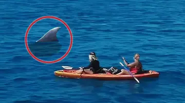 Una ballena gigantesca salta de la nada sorprendiendo a una chica en kayak