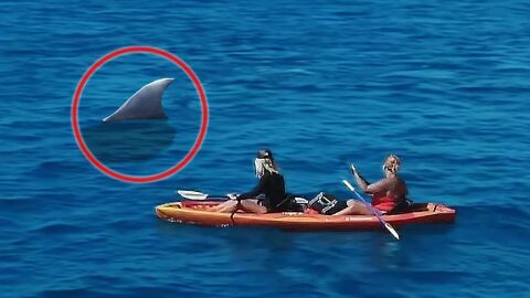 Una ballena gigantesca salta de la nada sorprendiendo a una chica en kayak