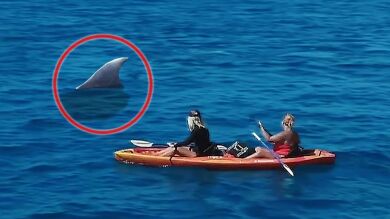 Una ballena gigantesca salta de la nada sorprendiendo a una chica en kayak