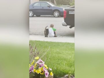 Un niño triste es consolado por la gata de su vecino
