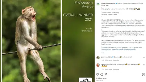 Estas han sido las fotos más divertidas del 2021 Estas han sido las fotos más divertidas del 2021