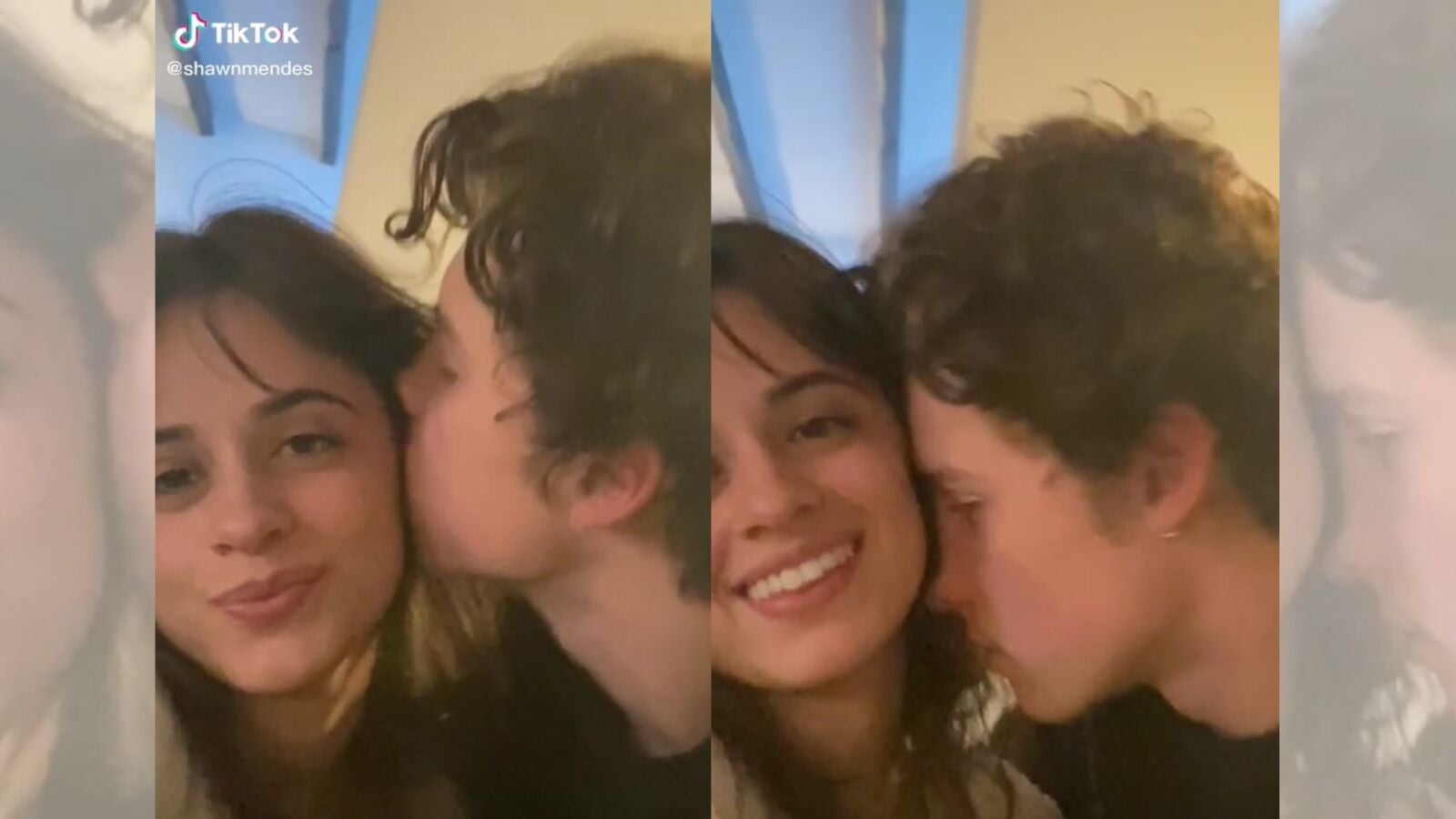 Las redes lloran la ruptura de Shawn Mendes y Camila Cabello: los mejores posts