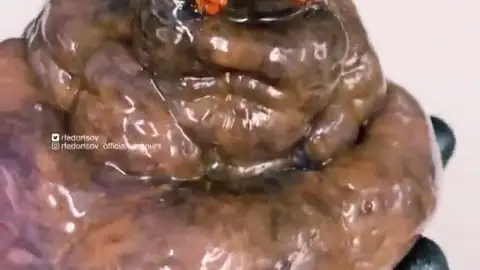 Un pescador ruso encuentra una extraña criatura marina parecida a la mandragora de Harry Potter Un pescador ruso encuentra una extraña criatura marina parecida a la mandragora de Harry Potter
