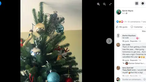 Serpiente en el árbol de Navidad Serpiente en el árbol de Navidad