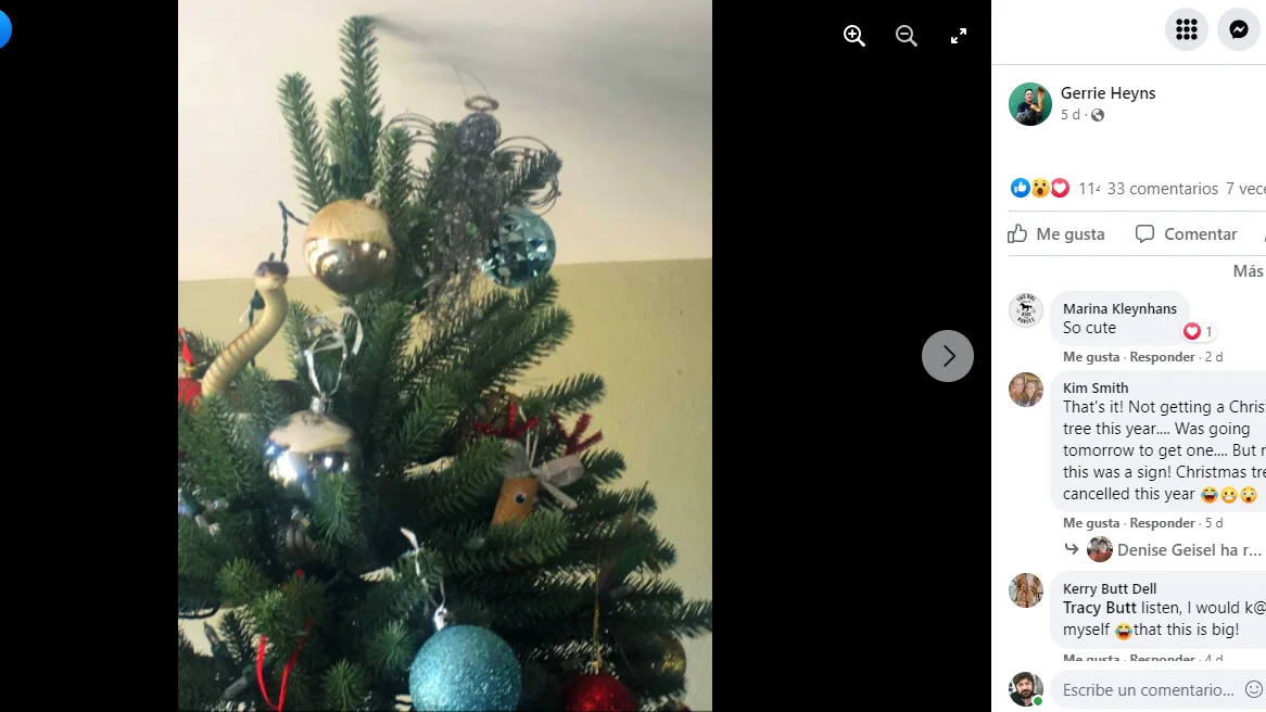 Serpiente en el árbol de Navidad Serpiente en el árbol de Navidad