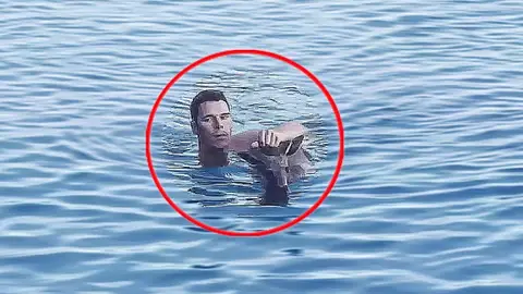 Rescatando a un canguro Rescatando a un canguro