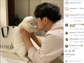 Un gato rechaza los abrazos de su dueño y se hace viral en Instagram