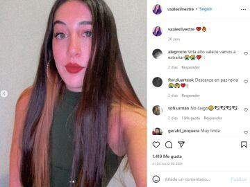 Instagram de @vaalesilvestre