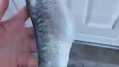 Le gasta a su exnovio la broma más asquerosa y en TikTok están divididos