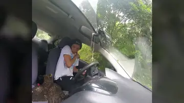 El increíble momento en que un águila herida se cuela en un coche en movimiento