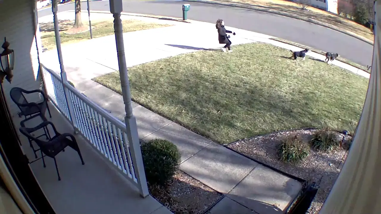 La cámara de seguridad grabó el momento en que dos perros arrastran a su dueña por la calle