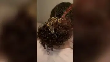 Una trabajadora de un zoo usa una serpiente como coletero