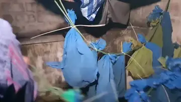 Rescatan a decenas de monos metidos en bolsas que iban a ser vendidos