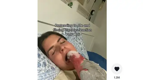 Una joven se hace la muerta y la reacción de su loro no tienen desperdicio Una joven se hace la muerta y la reacción de su loro no tienen desperdicio