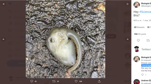 Twitter de @biologist_ellie Twitter de @biologist_ellie