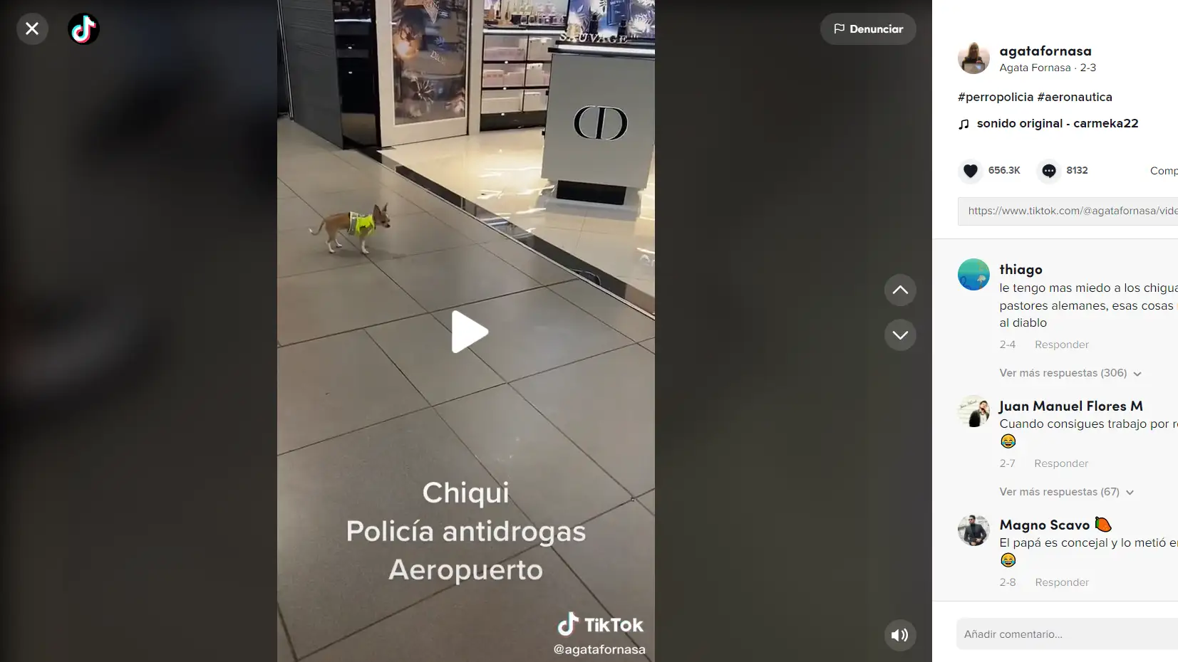 El cachorro de policía más pequeño del mundo captado por TikTok