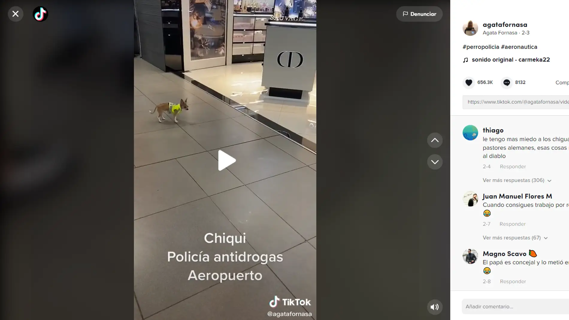 El cachorro de policía más pequeño del mundo captado por TikTok