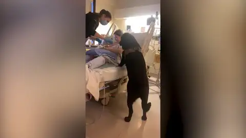 Perro se queda en la sala de partos para recibir a su nueva hermana humana Perro se queda en la sala de partos para recibir a su nueva hermana humana