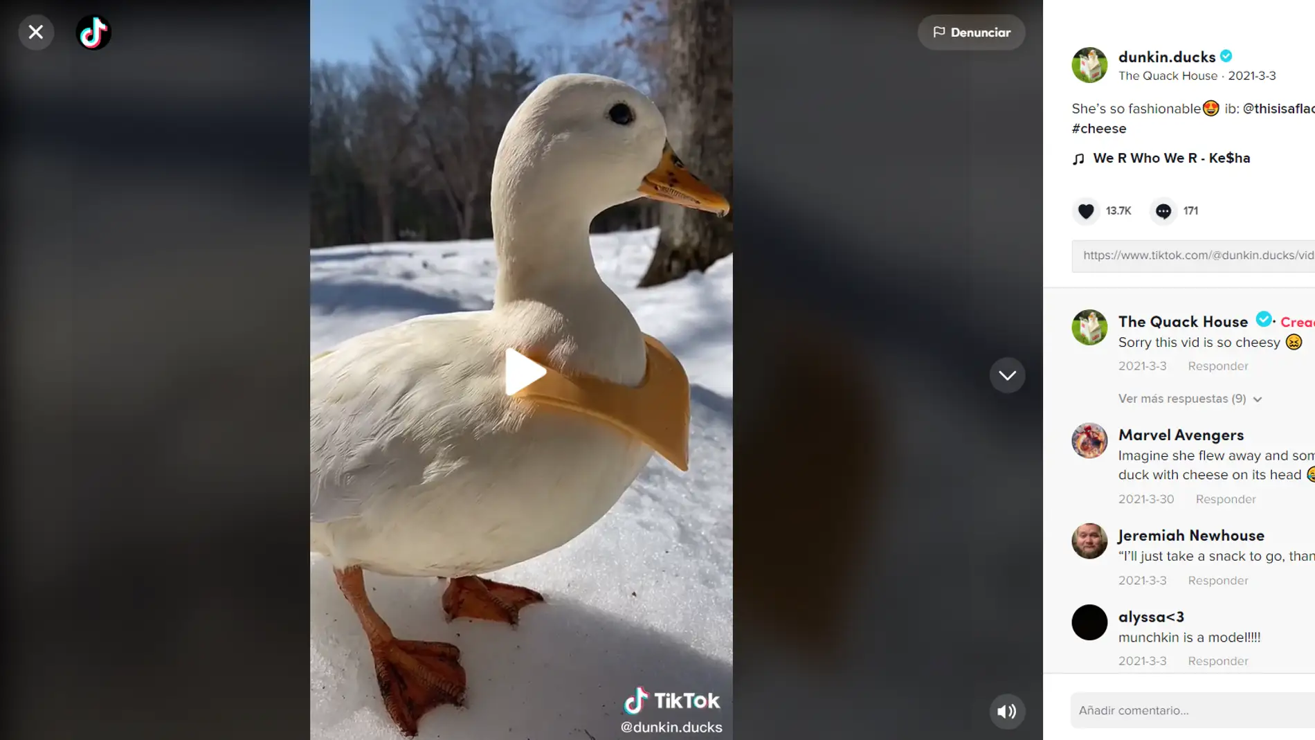 Los patos se convierten en la nueva mascota de moda en TikTok