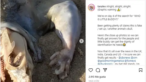 Instagram de @TanAlex Instagram de @TanAlex