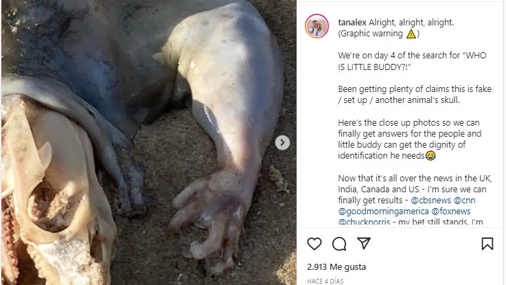 Instagram de @TanAlex Instagram de @TanAlex