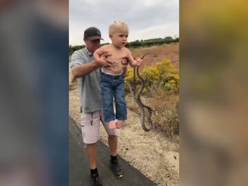 Un niño estadounidense se niega a soltar a una serpiente toro salvaje y el vídeo está dando la vuelta al mundo