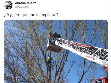 El curioso porqué de la foto viral de un ciclista colgado de un árbol en Salamanca