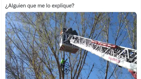El curioso porqué de la foto viral de un ciclista colgado de un árbol en Salamanca El curioso porqué de la foto viral de un ciclista colgado de un árbol en Salamanca