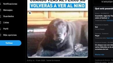 ¿Qué ves aquí: un perro o un niño? La ilusión óptica de la que todo el mundo habla