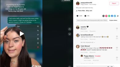 Una usuaria de Tinder alucina con la insensible respuesta que recibió de su cita al decirle que se había muerto su perro