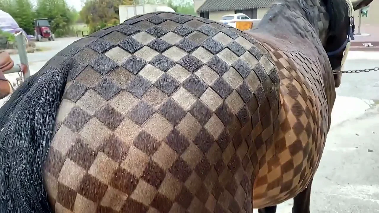 caballo ajedrez